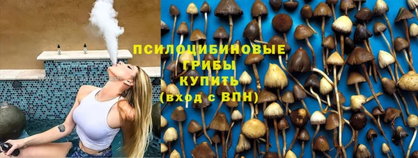 МДПВ Гусиноозёрск