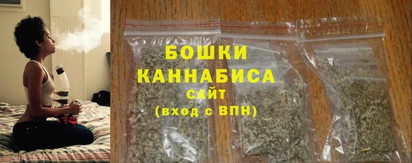 молекула духа Дмитровск