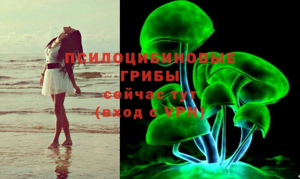 МДПВ Гусиноозёрск